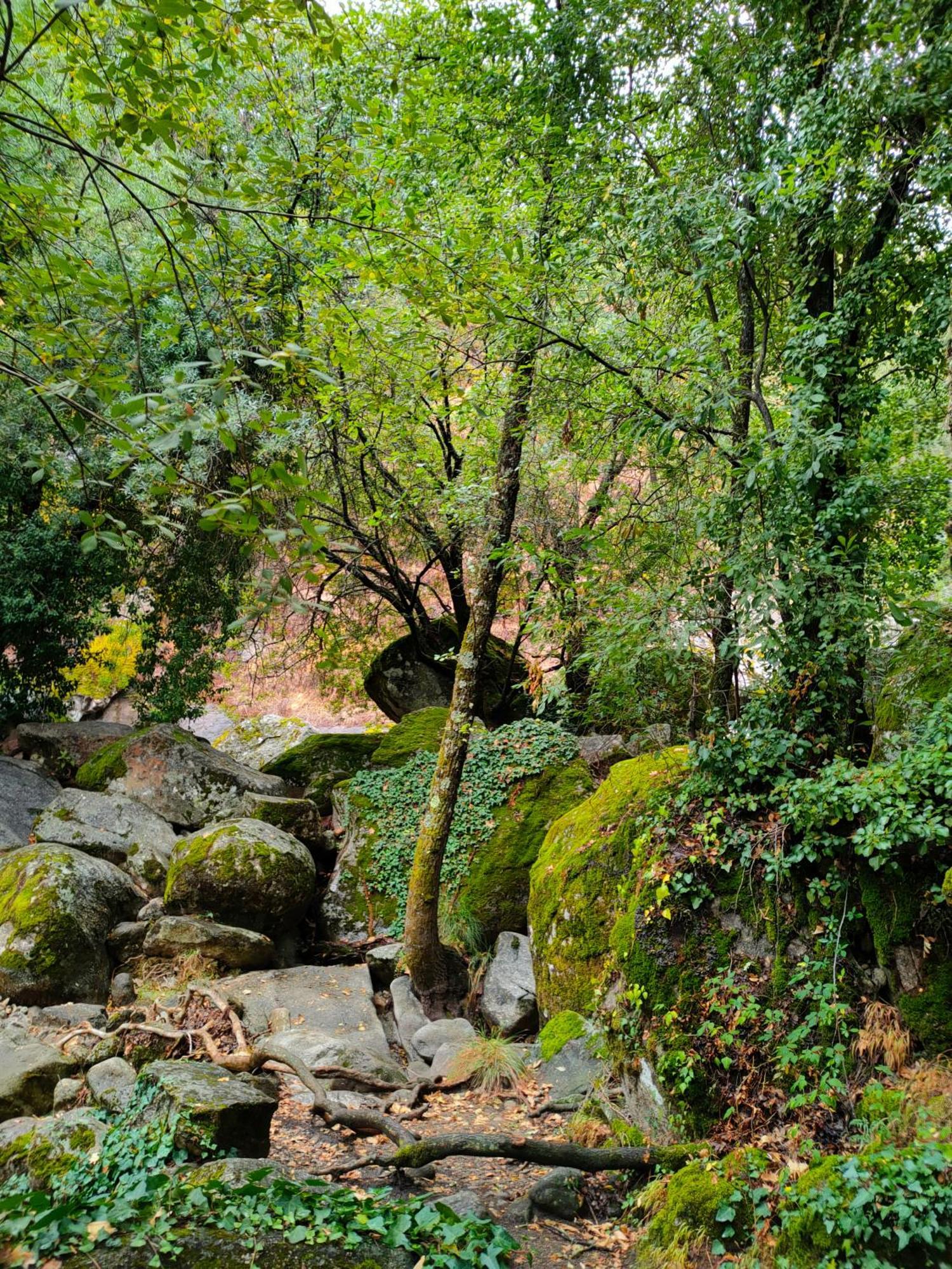 Acogedor Apartamento Valle Del Jerte Piornal Экстерьер фото